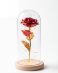Tiffanya Stardust Rose - Sexy Red - Tiffanya Store