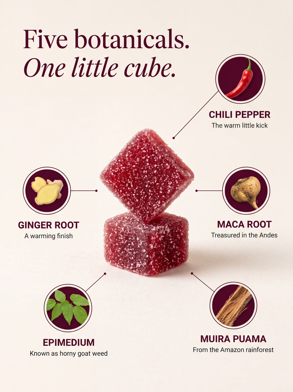Five botanicals, one little cube: chili pepper, maca root, muira puama, epimedium, ginger root